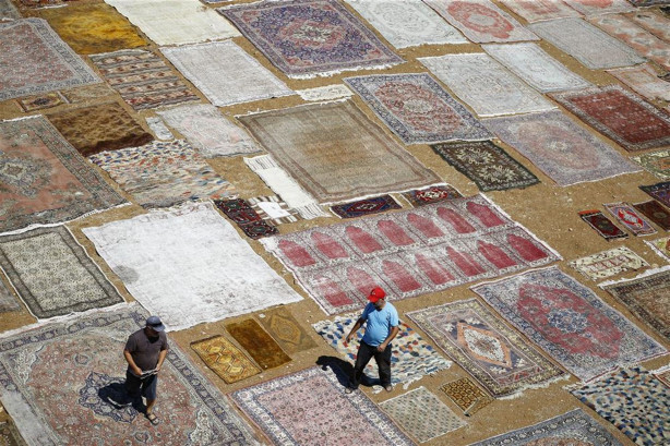 Foto - Çok şaşıracaksınız! İşte halı tarlaları...