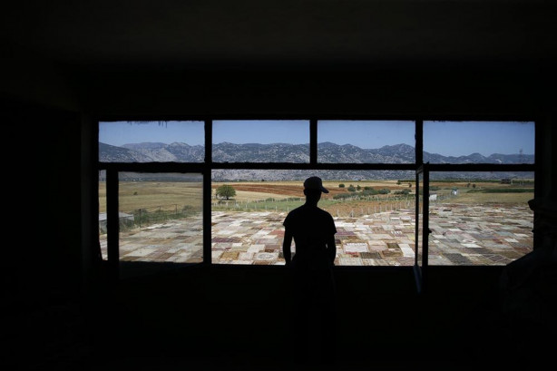 Foto - Çok şaşıracaksınız! İşte halı tarlaları...