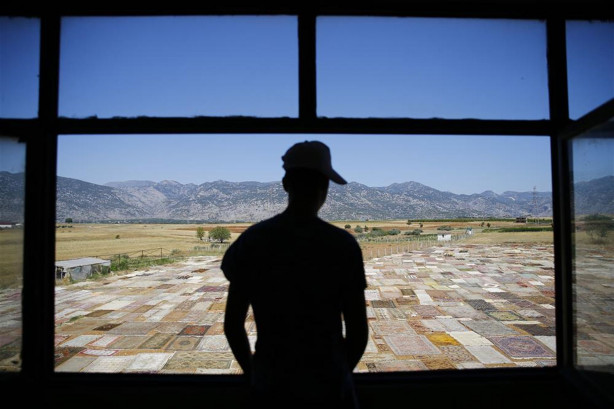 Foto - Çok şaşıracaksınız! İşte halı tarlaları...