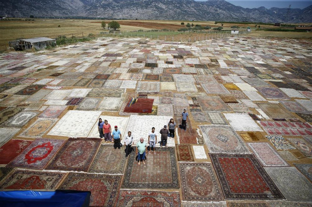 Foto - Çok şaşıracaksınız! İşte halı tarlaları...