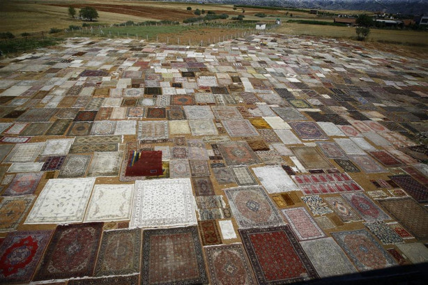 Foto - Çok şaşıracaksınız! İşte halı tarlaları...