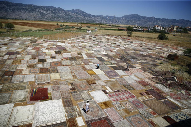 Foto - Çok şaşıracaksınız! İşte halı tarlaları...