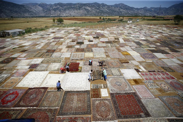 Foto - Çok şaşıracaksınız! İşte halı tarlaları...