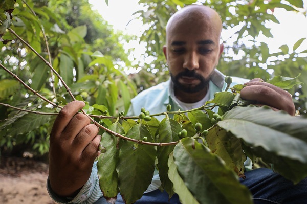 Foto - Çok şaşıracaksınız! Kahvenin bu halini daha önce gördünüz mü?