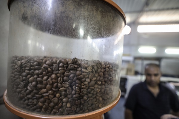 Foto - Çok şaşıracaksınız! Kahvenin bu halini daha önce gördünüz mü?