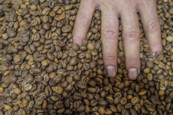 Foto - Çok şaşıracaksınız! Kahvenin bu halini daha önce gördünüz mü?