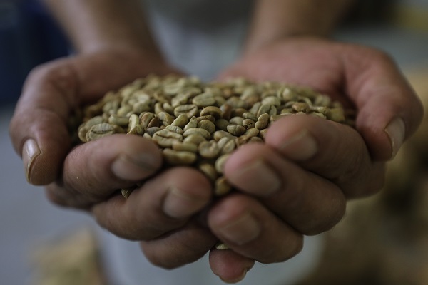 Foto - Çok şaşıracaksınız! Kahvenin bu halini daha önce gördünüz mü?