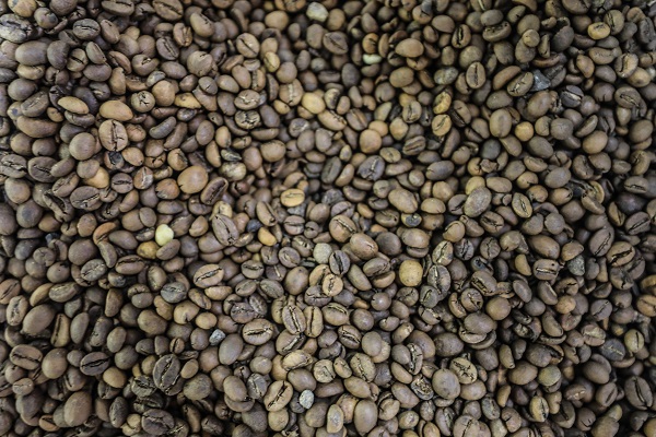 Foto - Çok şaşıracaksınız! Kahvenin bu halini daha önce gördünüz mü?