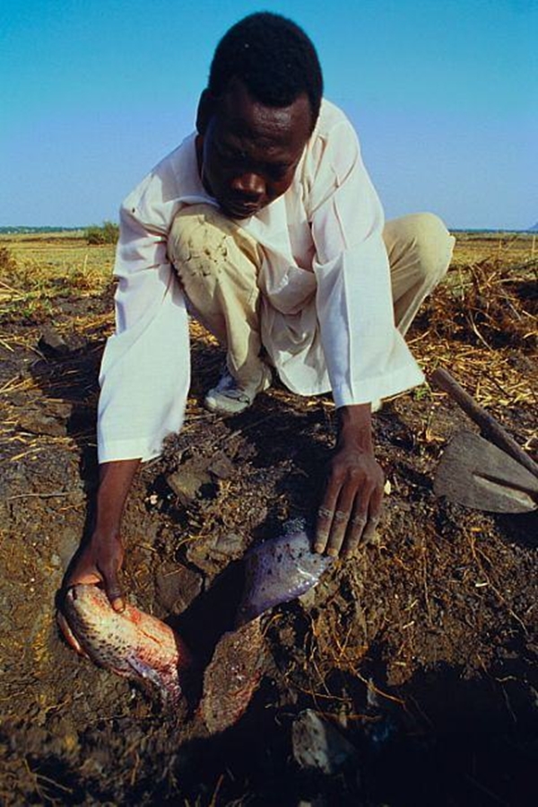 Foto - Çok şaşıracaksınız! Kuru toprağın içinden öyle bir şey çıkardı ki!