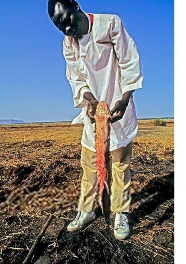 Foto - Çok şaşıracaksınız! Kuru toprağın içinden öyle bir şey çıkardı ki!