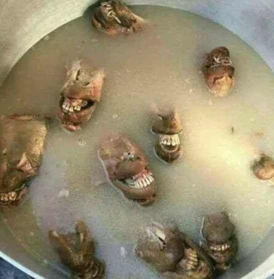 Foto - Çok şaşıracaksınız! ‘Pişmiş kelle gibi sırıtmak’ deyimi nasıl ortaya çıkmış? 