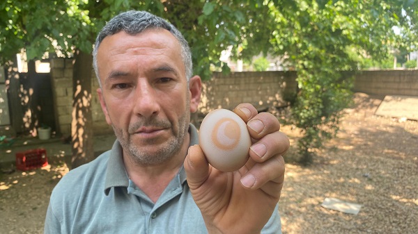 Foto - Çok şaşıracaksınız! Siz daha önce böyle bir yumurta gördünüz mü? 