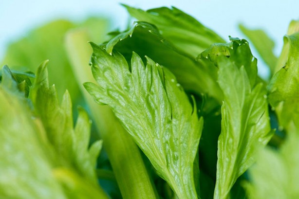 Foto - Çok şaşırtıcı bir etkisi var! Muzu soyup kabuğunu 10 dakika haşlarsanız...