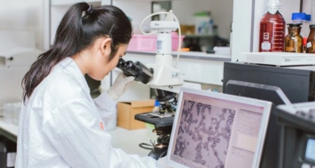 Foto - Çok tüketiliyor ama... Aman dikkat! İşte limonlu su içmenin zararları...