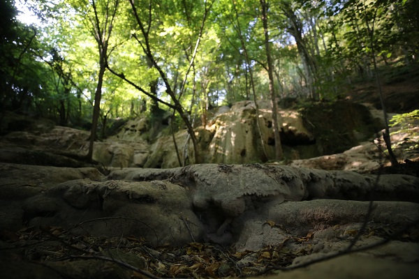 Foto - Çok üzücü! Tam 5 şelale susuz kaldı