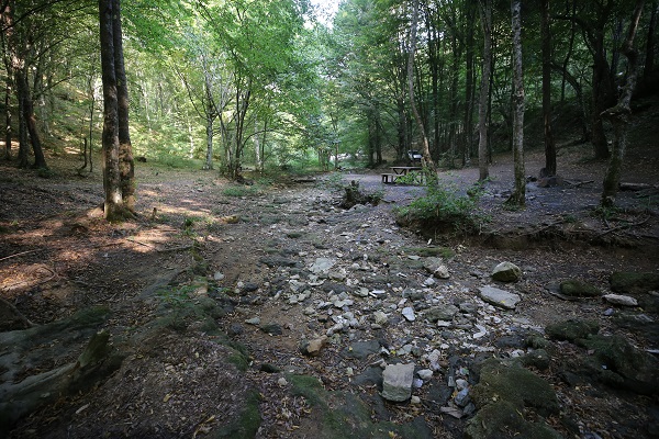 Foto - Çok üzücü! Tam 5 şelale susuz kaldı
