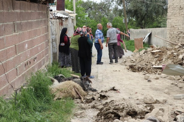 Foto - Çöken ağıldaki 7 küçükbaş hayvan telef oldu
