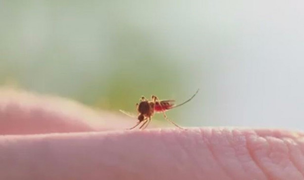 Foto - Çöken tampon fön makinesiyle nasıl düzeltilir?
