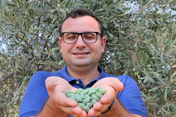 Foto - Çöl sıcakları etkiledi! Yüzde 50 kayıp bekleniyor