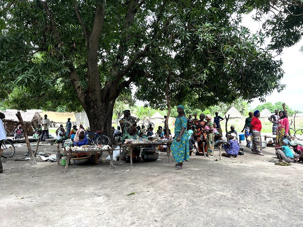 Foto - Çöl ve tropikal bitki örtüsünün buluştuğu ülke: Çad