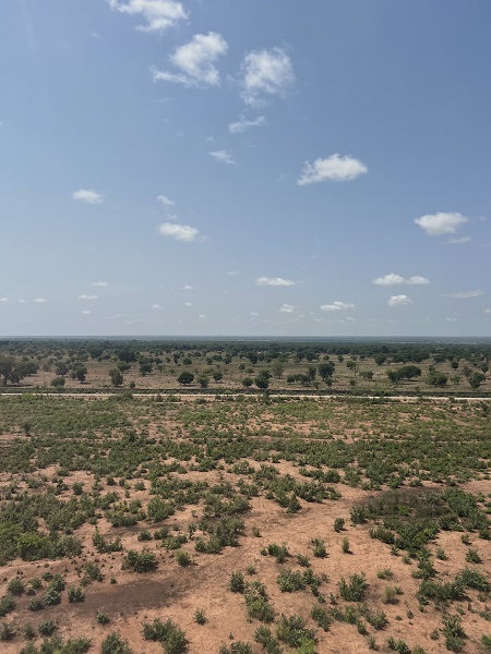 Foto - Çöl ve tropikal bitki örtüsünün buluştuğu ülke: Çad