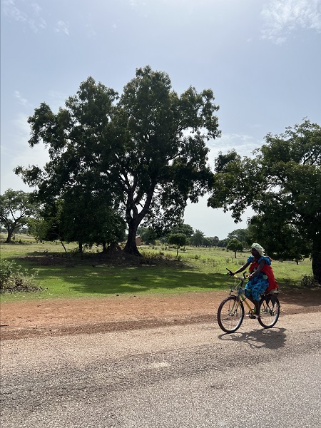 Foto - Çöl ve tropikal bitki örtüsünün buluştuğu ülke: Çad