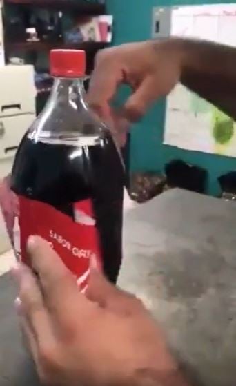 Foto - Cola Cola şişesinin içinden bakın ne çıktı! Öyle böcek möcek değil! Gözleriniz resmen yerinden fırlayacak