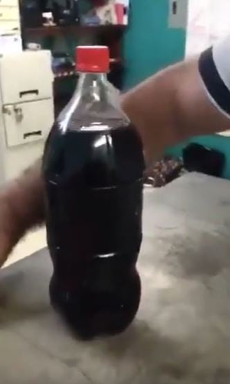 Foto - Cola Cola şişesinin içinden bakın ne çıktı! Öyle böcek möcek değil! Gözleriniz resmen yerinden fırlayacak