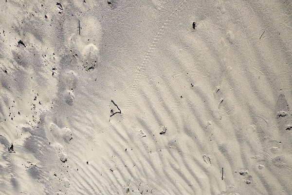 Foto - Çöle gitmek mi istiyorsunuz? Burası Türkiye’de