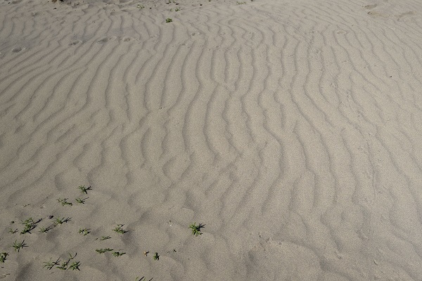 Foto - Çöle gitmek mi istiyorsunuz? Burası Türkiye’de