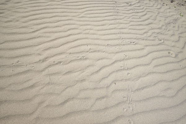 Foto - Çöle gitmek mi istiyorsunuz? Burası Türkiye’de