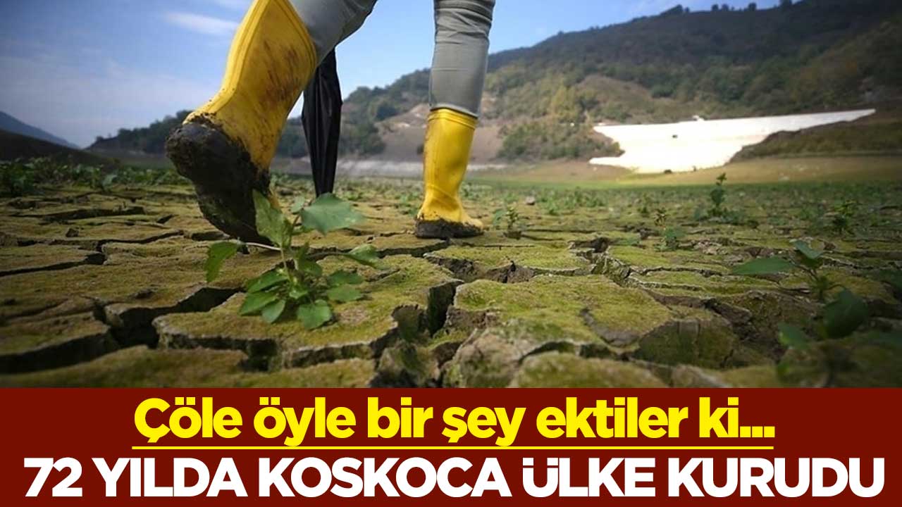 Çöle öyle bir şey ektiler ki... 72 yılda koskoca ülke kurudu