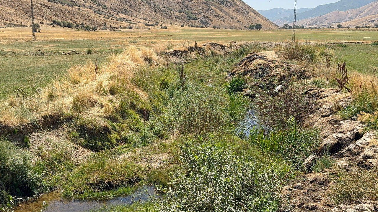 Foto - Çölleşme tehdidiyle karşı karşıya! Güzeldere Vadisi can çekişiyor