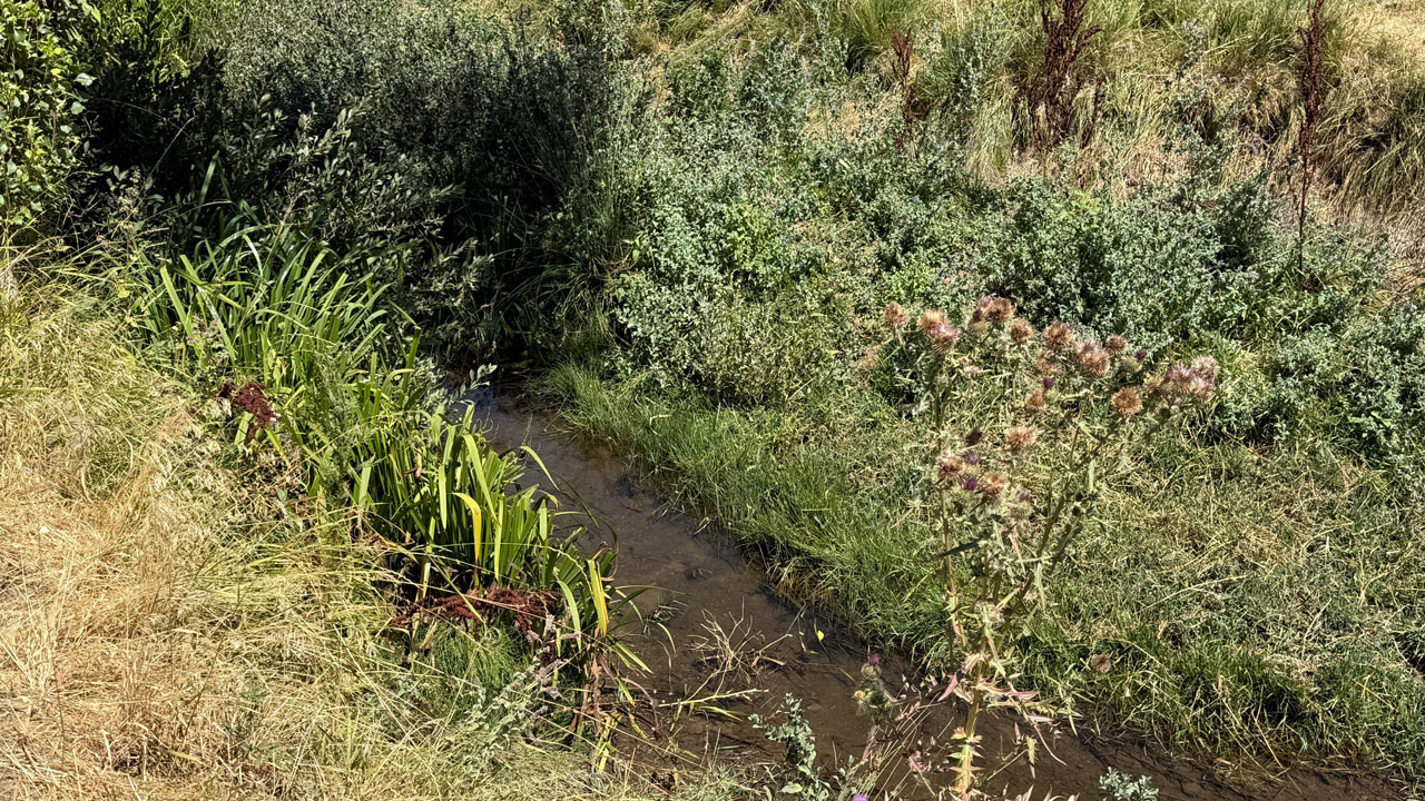 Foto - Çölleşme tehdidiyle karşı karşıya! Güzeldere Vadisi can çekişiyor