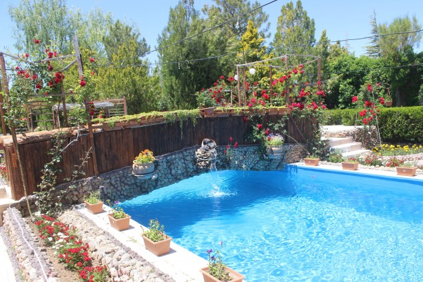 Foto - Çölleşmeye karşı "vaha" oluşturuldu