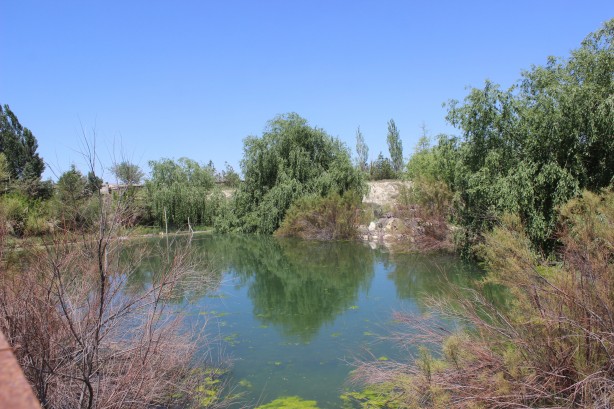 Foto - Çölleşmeye karşı "vaha" oluşturuldu