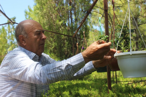Foto - Çölleşmeye karşı "vaha" oluşturuldu