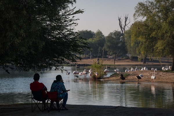 Foto - Çölün ortasında bir vaha: Al Qudra Gölü