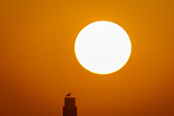 Foto - Çölün ortasında bir vaha: Al Qudra Gölü