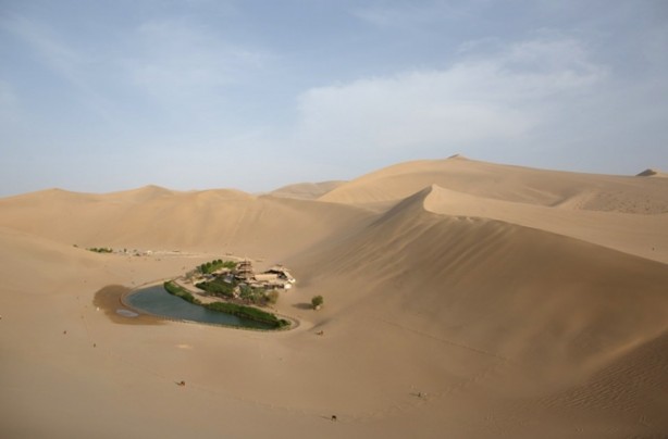  Çölün ortasında şaşırtan hayat