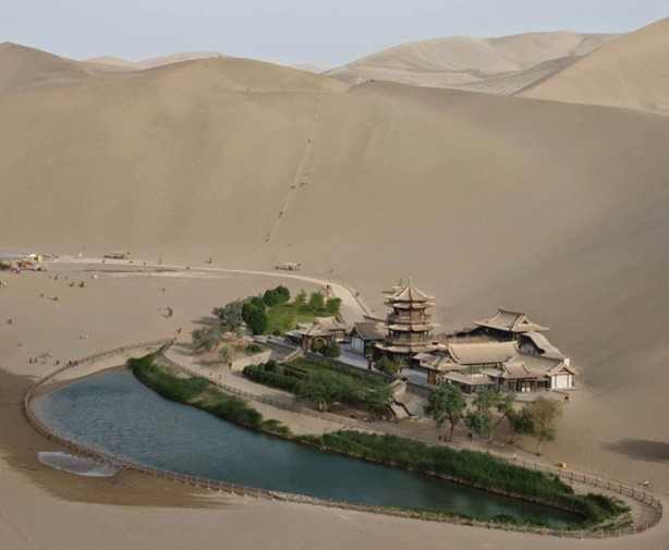 Foto - Çölün ortasında şaşırtan hayat