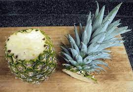 Foto - Çöp deyip attıklarınız bakın ne işe yarıyor! Onlar neler? Ne kadar, nasıl kullanılmalı? Sakın çöpe atmayın! 