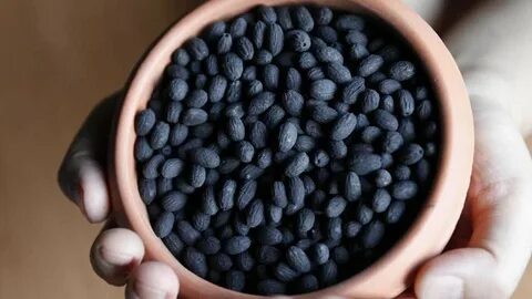 Çöp diye gördüğümüz yiyeceğin, sadece 2-3 tanesi bile Hemoroidi bitiriyor!