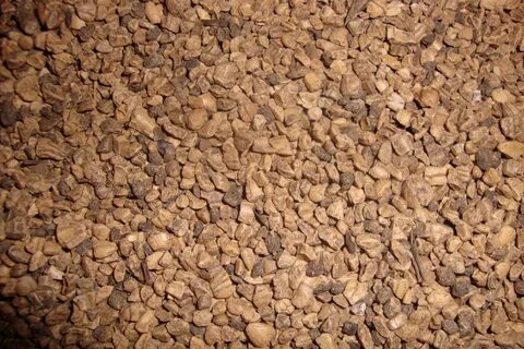 Foto - Çöp diye gördüğümüz yiyeceğin, sadece 2-3 tanesi bile Hemoroidi bitiriyor!