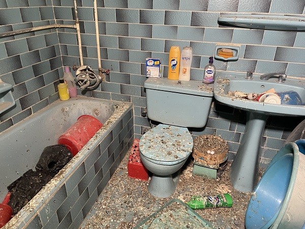 Foto - Çöp evde yaşayan kadın: Benim evim temizdi