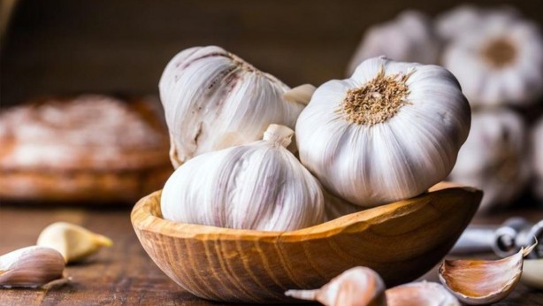 Foto - Çöpe atan bin pişman olur