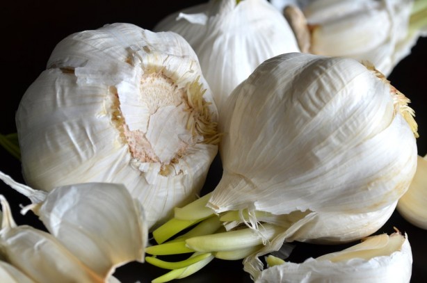 Foto - Çöpe atan bin pişman olur