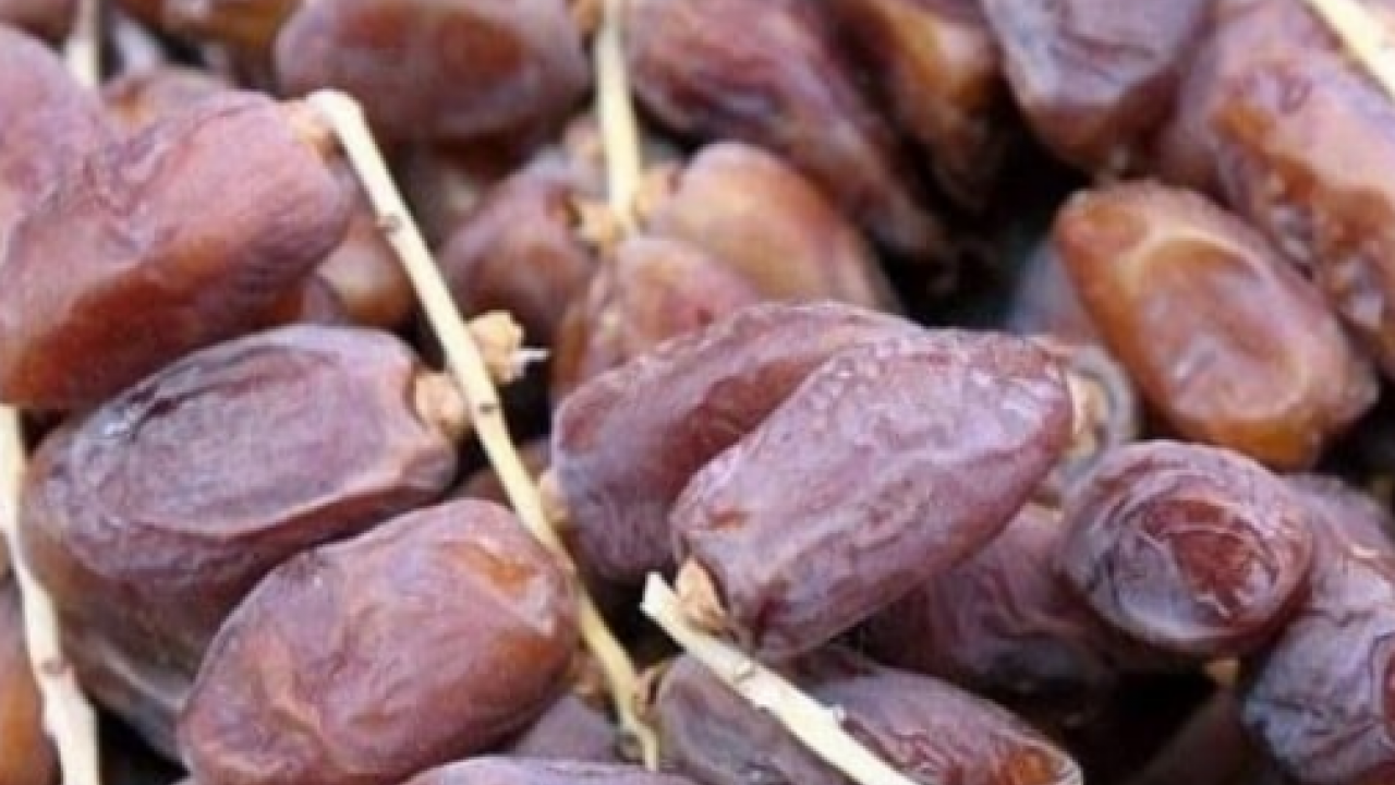 Foto - Çöpe atan çok pişman olur! Hurma çekirdeğindeki inanılmaz şifa! Her yudumu şifa evinizde varsa çöp diye sakın atmayın