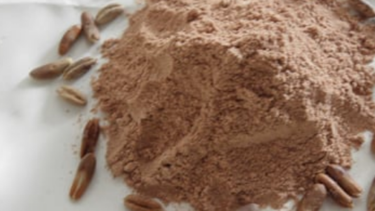 Foto - Çöpe atan çok pişman olur! Hurma çekirdeğindeki inanılmaz şifa! Her yudumu şifa evinizde varsa çöp diye sakın atmayın