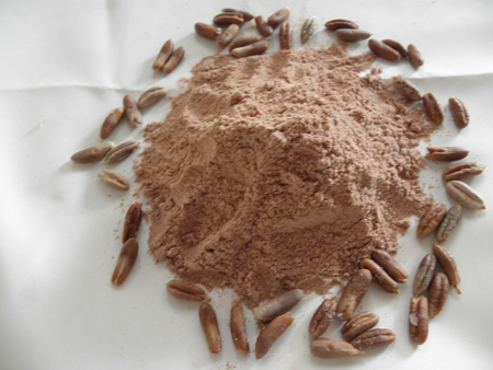 Foto - Hurma yağının içinde bol miktarda E vitamini bulunur. Cilt için oldukça faydalı olan bu bitkisel yağ, ciltteki sivilce oluşumunu önler.